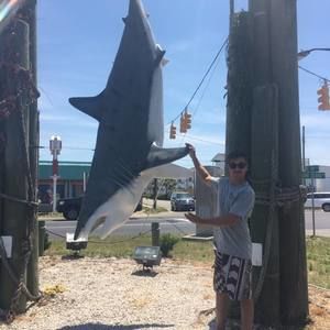 Meet your Posher, Patrick